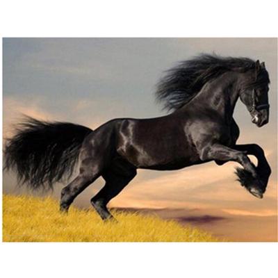 Volle 5D Diy Diamant Malerei ein schwarzes Pferd Stickerei Kreuzstich Home Decor handgemachtes Geschenk
