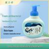 Longliqi Foaming Antibacterial Hand Wash