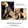 Pet Postoperative & Senior Dog Leg Support Brace