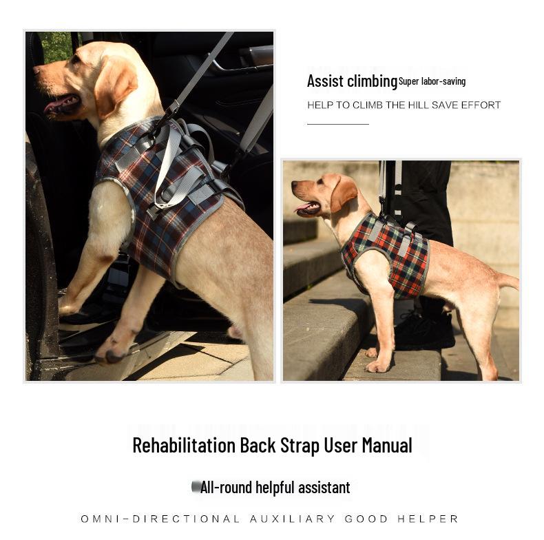 Pet Postoperative & Senior Dog Leg Support Brace