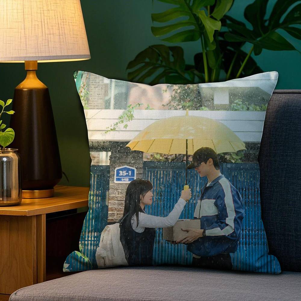 

TV series L-Lovely R-RunnerS Pillow Case Anti-dustmite Pillowcase Invisible zipper silky short plush Sofa cushion cover 12x12Inch