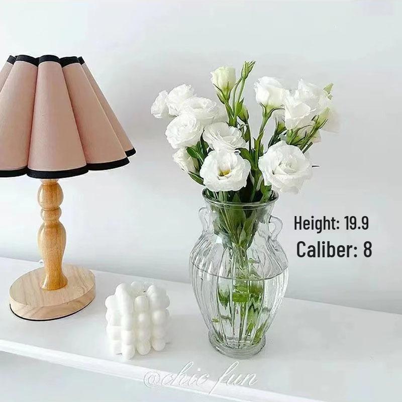 Internet Celebrity Style Transparent Glass Vase for Hydroponic Flower Arrangements - Gypsophila Display for Living Room or Dining Table