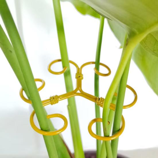 2Pcs Plant Stem Support Holder Heavy Duty Metal Indoor Outdoor Monstera Plant