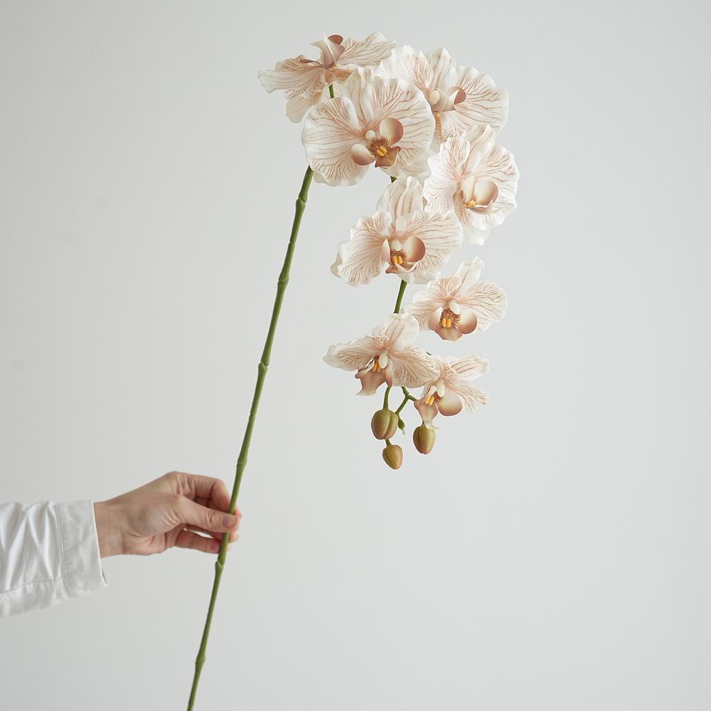 Künstliche Phalaenopsis Orchideenblüten Hochzeit Dekorative Phalaenopsis Realistische Orchidee Lange Stiele 9 Köpfe Heim Indoor Deko