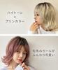 AQUADOLL (Aquadoll) Bob Midi Curl Full Wig, High Tone Ash Blonde, Pink Brown, Free Size, P-AMB. Almond Brown Pudding, wg345P-AMB