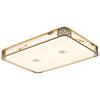 Chinese Style LED Ceiling Lamp