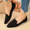 Large Size Single Shoes 22 Spring and Autumn New Casual Flat Pointed Beanie Shoes
