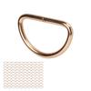 100pcs D Rings Dog Collar Metal D Rings for Dog Chest Straps Pet Suitcases Accessory