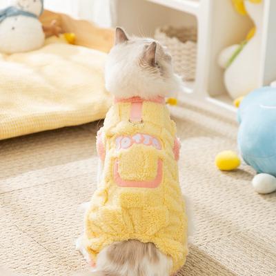 Autumn and Winter Cat Clothes Ragdoll Cat Blue Cat Kitten Warm Four-legged Clothes Puppy Dog Than Bear Down Jacket Pet Clothing