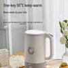 Bear 1.7L Stainless Steel Electric Kettle CN plug (adapter included)