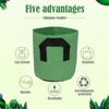 Breathable DIY Garden Pouch Vegetable Potato Root Container Plant Pots Grow Bag Flower Planter