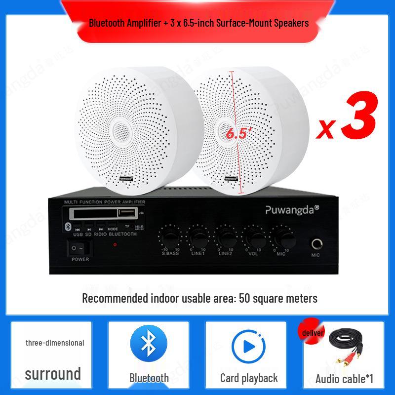 Wireless Indoor Ceiling Speaker with Wall-Mountable Hanging System