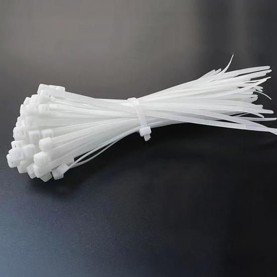 Selbstbewässernde Moosstäbe für Kletterpflanzen Innen D-Form Pflanzenstützpfahl-Set Halbtransparent Monstera-Stütze