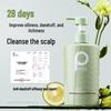 Baiteli Seaweed Anti-Dandruff Shampoo