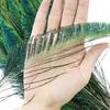 Natural Peacock Sword Feathers 30-35Cm Diy Crafts Decoration Beautiful Plume Party Wedding Home Jewelry Accessory Bulk