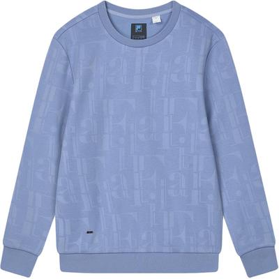 Sweatshirt 2024 Frühling Neu Business Pendeln Lässig Sport Logo Druck Pullover Herren Sweatshirts Xie-Huan-Blau F11M412203FBU