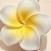 1 Pair Women Hair Clips Flower Shape Hair Barrettes Strong Grip Decorative Hair Pins Beach Vacation Daily Party Hair Accessories