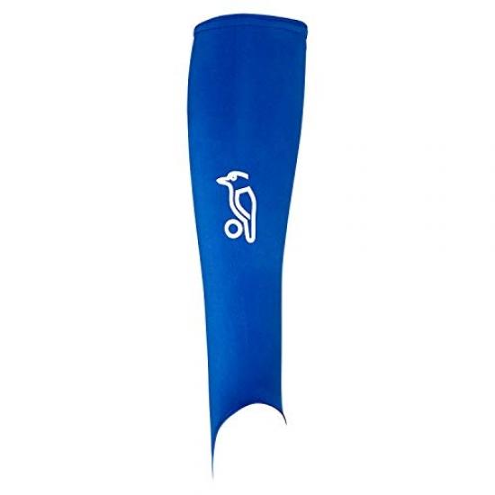 Mascotte De Crosse De Geai Bleu | Vecteur Premium Mascotte De Crosse De Geai Bleu | Vecteur Premium