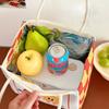 Large Capacity Bento Bag High Aesthetic Insulated lunch Box Thermal Insulation Bags Suitable Traveling Easy to Carry Office lunch Box Bag