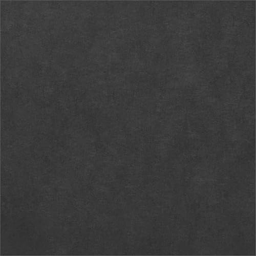 VICTORINOX Epicurean Handy Series Small Cutting Board, Dishwasher Safe, Heat Resistant, Camping, Made In the USA, Black, 7.4131.3