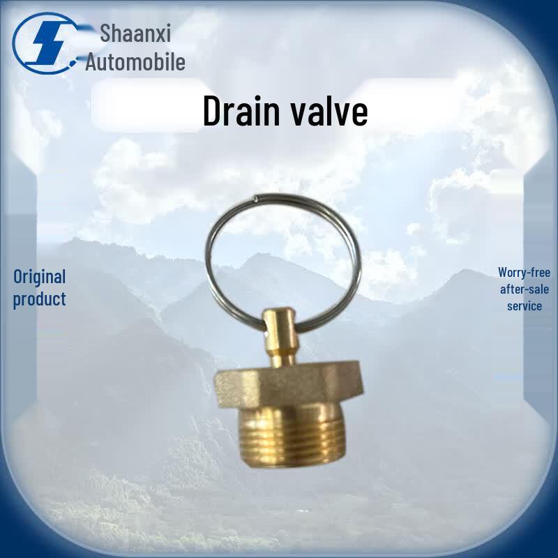 Shacman Truck Drain Valve AZ9100368155