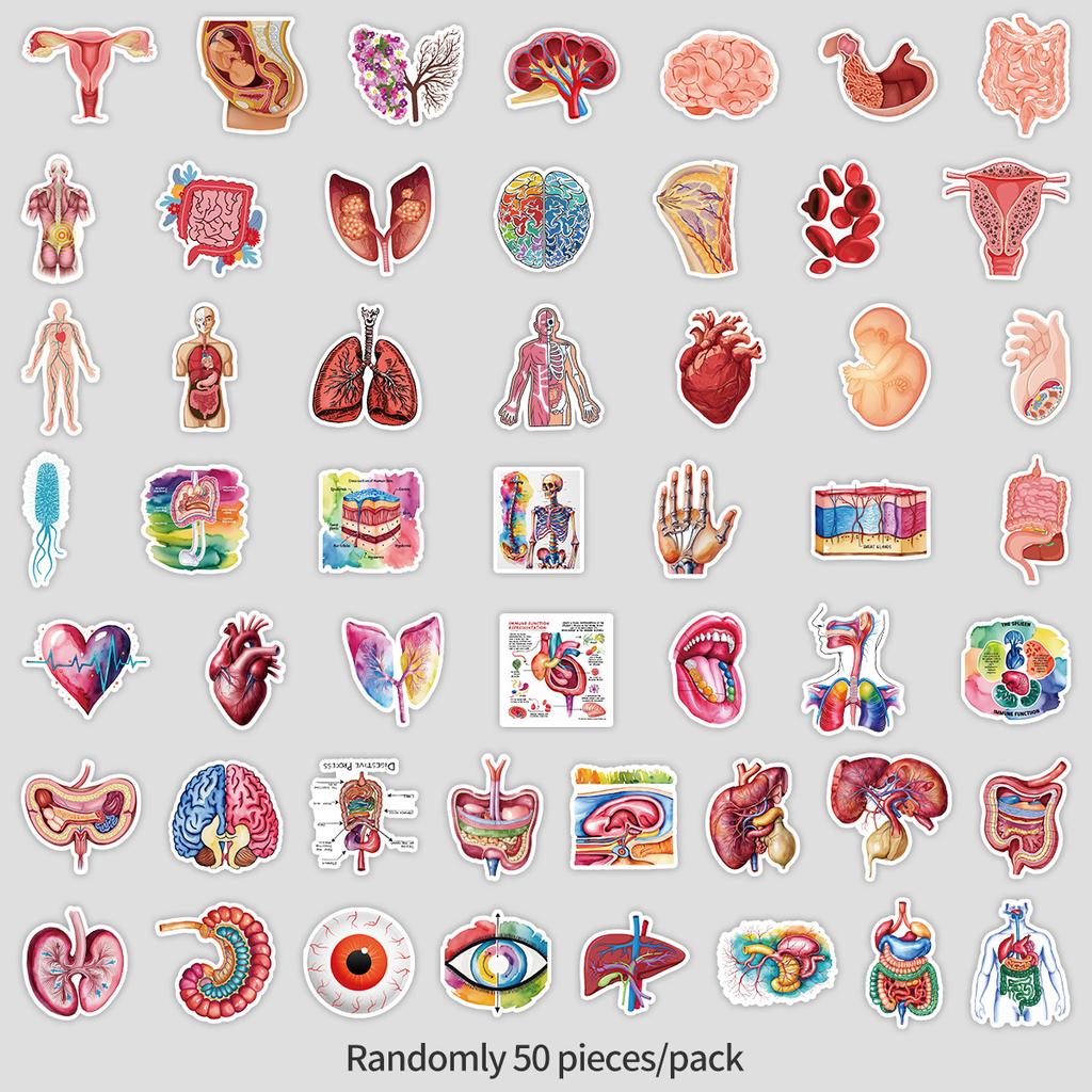 50 Unrepeated Human Organ Graffiti Stickers Mobile Phone Computer Waterproof Decorative Stickers Cartoon Organ Stickers