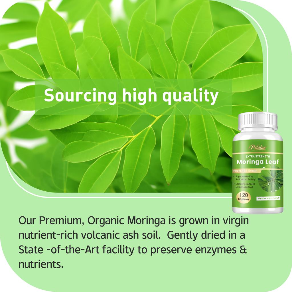 Pslalae - Moringa Leaf Extract Capsules - Antioxidant - Joint & Immune Health