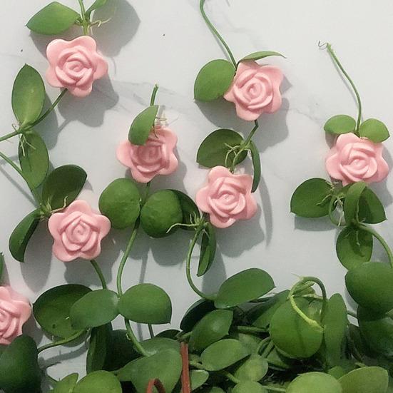 10Pcs Plant Climbing Wall Fixture Clip Self-Adhesive Climbing Vine Fixing Hook Traction