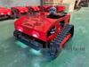 Remote Control Four-Stroke Gasoline Lawn Mower and Grass Trimmer
