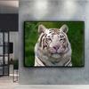 5D DIY Diamond Painting Animal White Tiger Cross Stitch Diamond Art Embroidery  Mosaic Home Deco