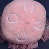 Takeoff Plush Toy Sweet Jelly M Pink (Jellyfish)
