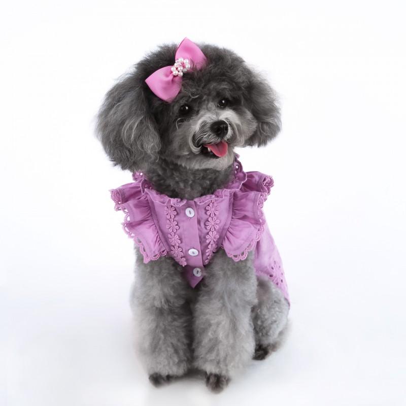 Huisdier Kant Fladderende Mouw Prinsessenjurk Teddy Poedel Kat Met Haaraccessoire