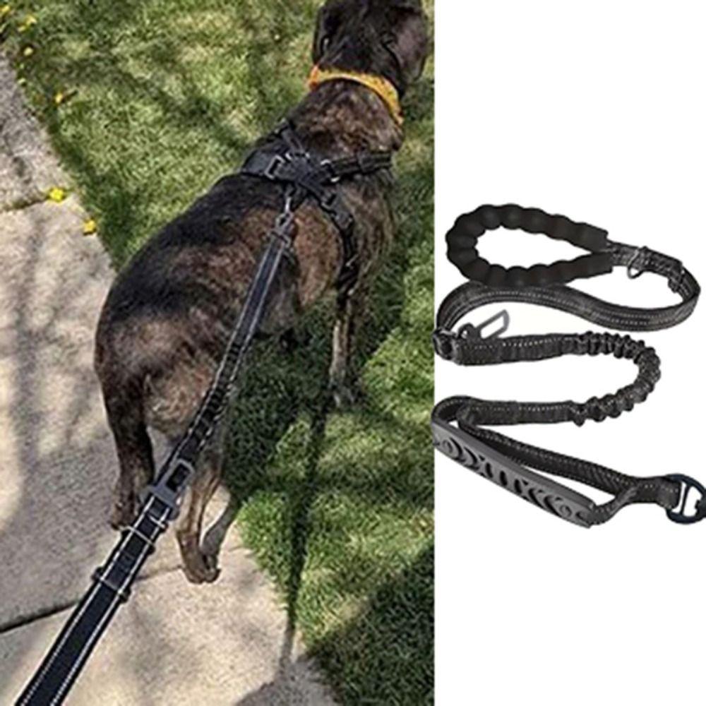Shock Absorbing Reflective Pet Dog Leashes Elastic Buffering Explosion-proof Dog Walking Rope with Car Safety Buckle