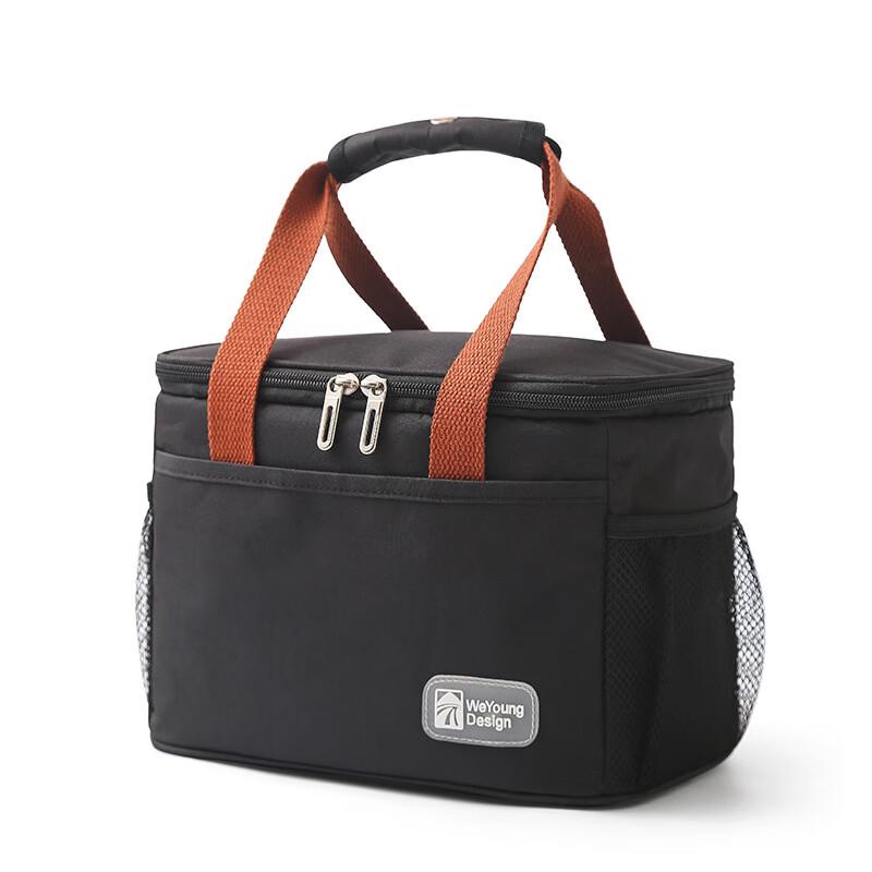 Zhi Shi 15L Insulated Picnic & Lunch Bag