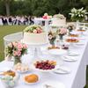 3PCS Metal Cake Display Stand Graduated Sizes Dessert Stand Pastry Display Stand  Wedding Parties