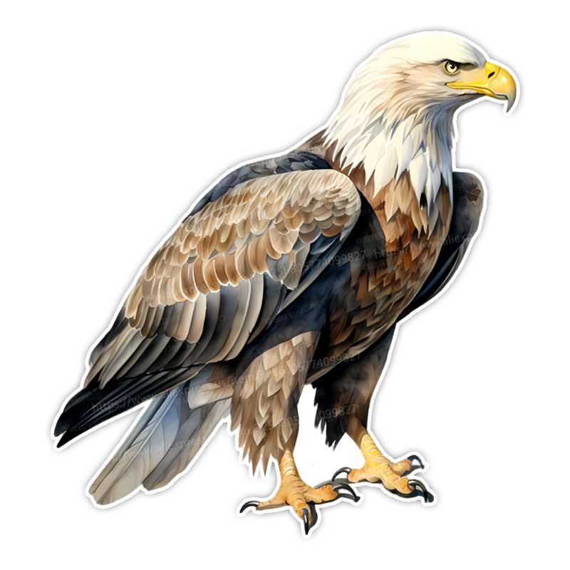 Eagle Standing on a Branch Car Sticker Waterproof Vinyl Decal on Bumper Rear Window Laptop Decal For Car Accessories Y161