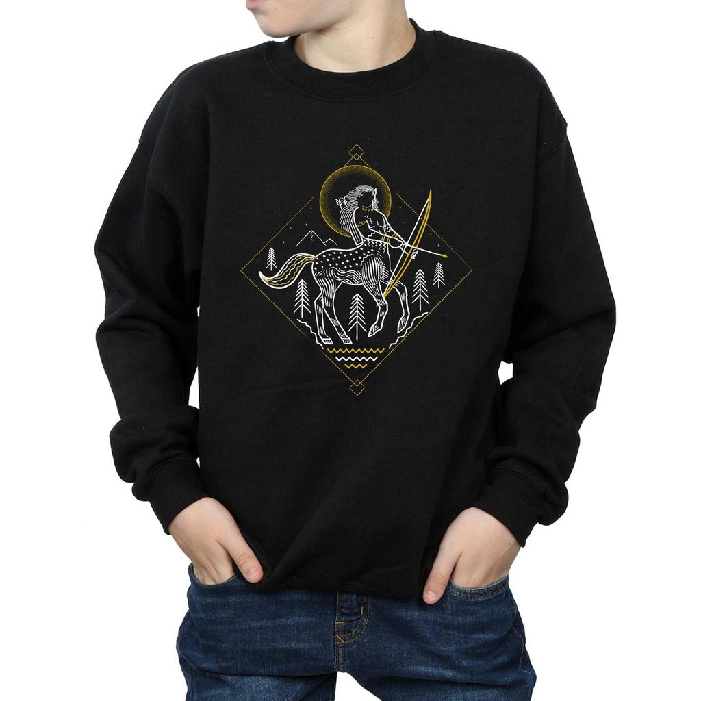 HARRY POTTER Boys Centaur Line Art Sweatshirt