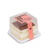 Disposable Transparent Cake & Dessert Boxes