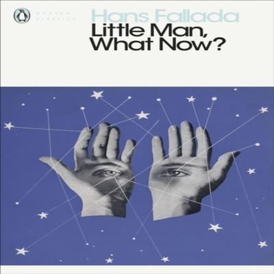 Little Man What Now by Hans Fallada Paperback Book 9780241300879