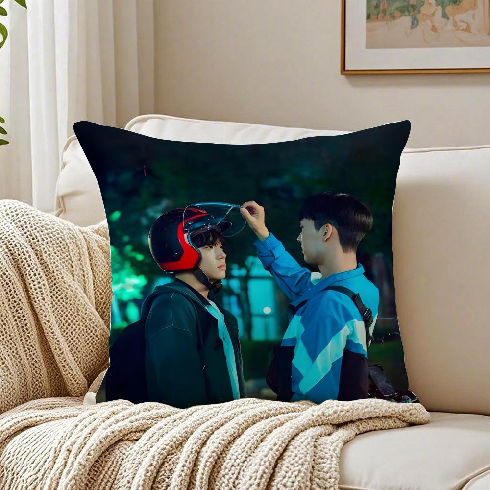 

Webtoon Gritty 1 WWeak HHero Class 1 Cushion Cover Pillowcase Antidustmite living Room Sofa Decor Cushion Room 30X30cm
