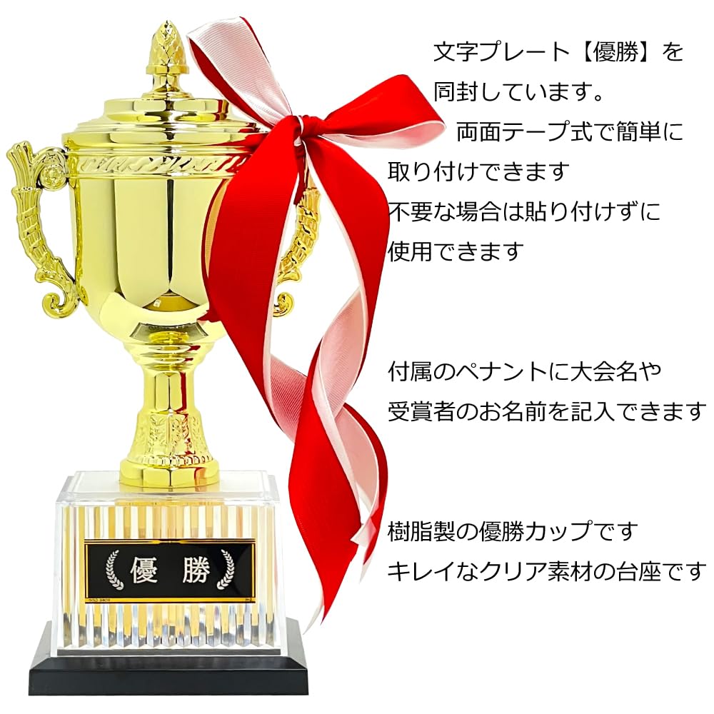 23.5cm Tall Resin Trophy with Victory Plate and 5 Pennants (CP-167A)