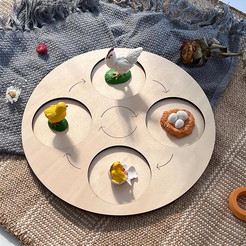 Life Animal Cycle Board Children Toys Montessori Teaching Aids Plant Animal Growth Cycle Model Set Preschool Cognitive Toys