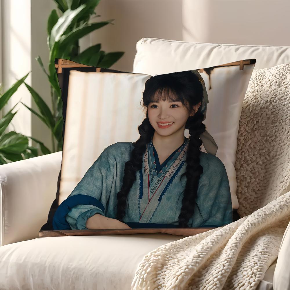 TV Pursuit of Jade Fan Changyu Cushion Cover For Pillow Printing Sofa Decoration Home Room Coffee Shop Office Nordic Simplicity