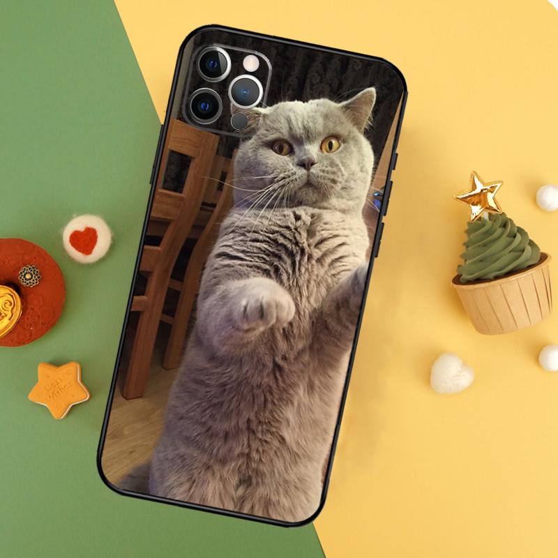 British Shorthair Cat Phone Case For iPhone 17 16 14 13 12 11 15 Pro Max 12 13 Mini 16E 17 Air Shockproof Cover