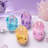Yousheng Mini Hedgehog Squeeze Toy with Glitter, Soft Stretchy Clear Rabbit Sensory Toy, Anxiety Relief Sugar Stress Ball Fidget Toy
