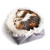 Cat Litter Pet Cushion Dual-purpose Kennel Cat Pad Plush Cat Mattress Pet Litter Autumn and Winter Litter Pad Cat Hammock Pets