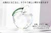 PARK SEVENTEEN Apple Crystal Suncatcher Paperweight, Clear Apple, 5cm Wide, Home Decor, Ornament, Gift, Small Item