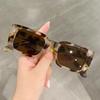Vintage Square Sunglasses Women's Retro Leopard Sun Glasses Female Fashion Gradient Rectangle Shades Beach/Travel UV400 Shades