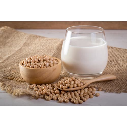JAY&CO. Whole Soy Protein, Quickly Dissolves in Water, Reduced Grainy Flavor, Completely Additive-Free (500g, Unflavored)