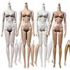 1/6 Doll Body With Replacement Legs Women White Black Model FR Body 14 Joints Movable Girls DIY Toys Collections Figures